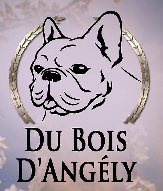 Du Bois D'angely